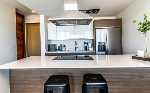 Departamento en Venta y Renta en Riva