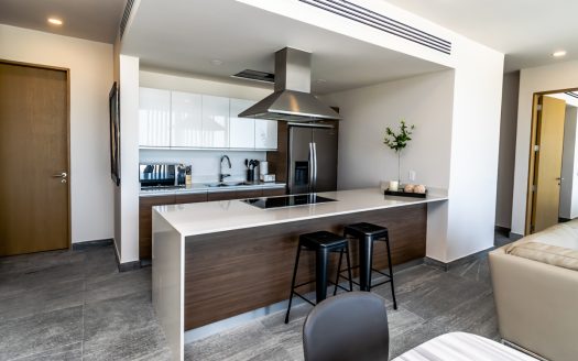 Departamento en Venta y Renta en Riva