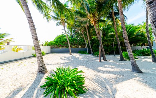 Terreno en venta en playa del secreto, Riviera Maya