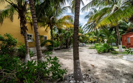 Lote en Venta frente al Mar, Puerto Morelos