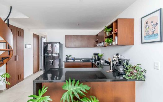 Penthouse en Venta Eugenia Aqua Residencial