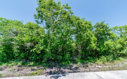 Lote en Venta, Cancún Country Club