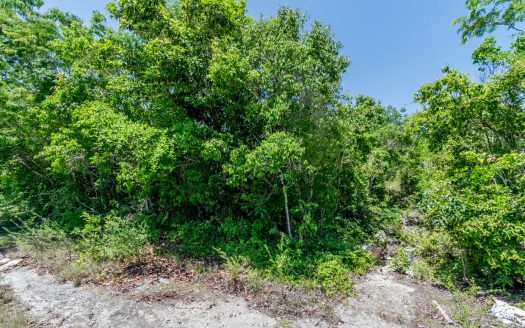 Lote en Venta, Cancún Country Club