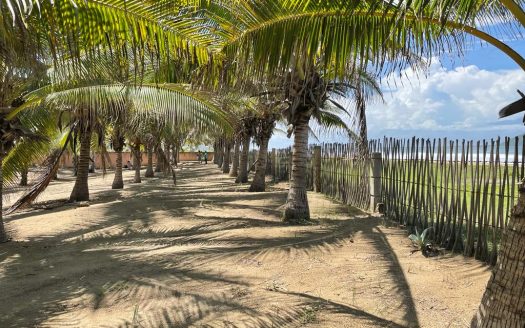 Terreno Comercial Hotelero Oportunidad Inversionista en Playa Blanca, Zihuatanejo, Guerrero