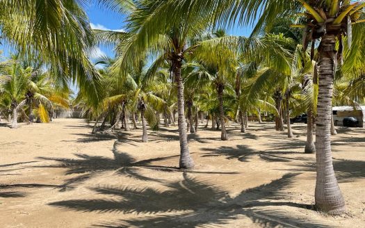 Terreno Comercial Hotelero Oportunidad Inversionista en Playa Blanca, Zihuatanejo, Guerrero