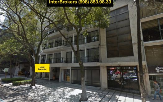 Oportunidad! Local Comercial Colonia Polanco Newton