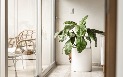 LEU – Venta de Departamentos, Av. Nader SM 3