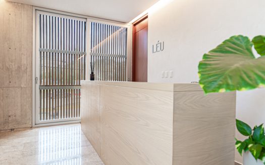 Departamento en Renta en Leu, Av. Nader